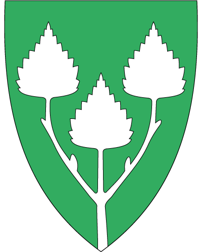Birkenes Kommune